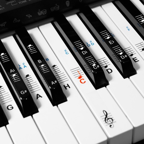 Pianino Keyboard Nuty Naklejka Niemiecki układ 49 61 76 88 klawiszy Instrumenty
