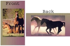 Horse Horses Vinyl Checkbook Cover with Matching Bookmark