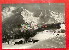 SAINT-GERVAIS-LES-BAINS (74) CPSM " PLATEAU DES BETTEX " 