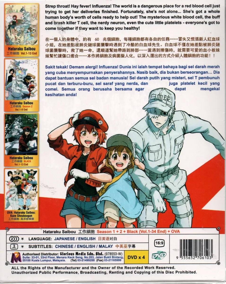 DVD Anime Hataraku Saibou /Cells at Work Complete Series (1-13) English  Subtitle