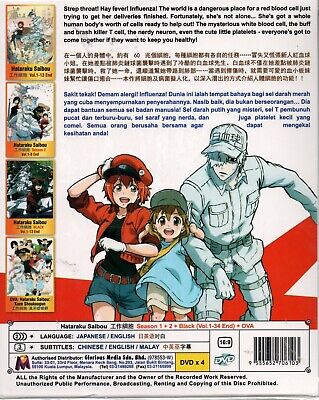 Hataraku Saibou Season 1 2 Black OVA Japanese Anime DVD for sale