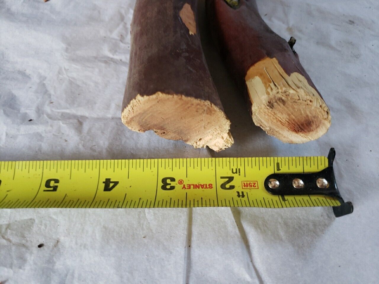 Bild 4 von 8