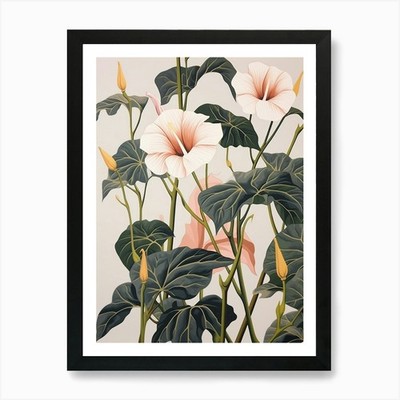 Blume Illustration Morning Glory 4 gerahmte Wandbilder Poster Leinwanddruck Bild