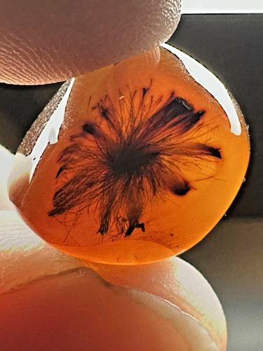 Rare Botanical Flower & Leaves, Fossil inclusion in Maynmar Burmite Amber