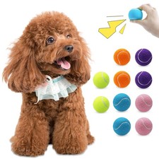 10 Pack Squeaky Mini Tennis Balls, 1.5 inch Tennis Balls for Dogs, Colorful E
