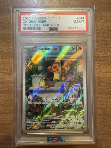 2023 POKEMON SVP EN CHARMANDER OBSIDIAN FLAMES ETB PSA 8 NM-MT!!