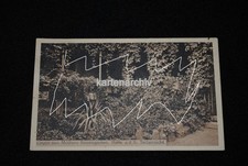 Möllers Rosengarten Halle Saale AK an Helene Zander Zehbitz Radegast