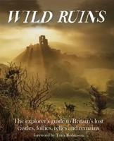 Wild Ruins | Dave Hamilton | Englisch | Taschenbuch | Kartoniert / Broschiert
