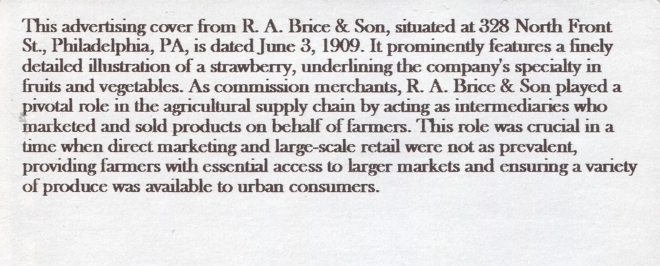 Philadelphia PA Advertising Cover R. A. Brice & Son Fruit and Vegetable Merchant - Image 3 of 3