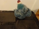 Bild 5 von 6