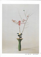 Japanische Ikebana Zeitschrift 1989 SELTEN Ikenobo