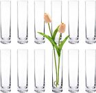 Glass Cylinder Bud Vase Centerpieces Set of 12 Clear Small vases single Rose