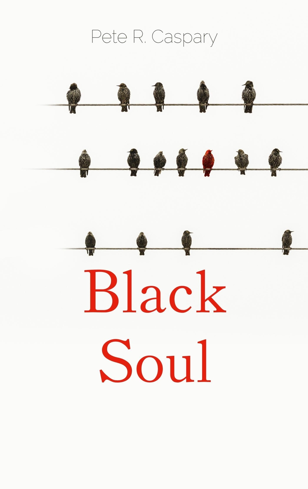Thumbnail - Black Soul Ein Jahr Leben Von Popp Pete R. Caspary Taschenbuch