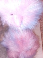 candy floss jelly cat