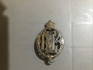 national fire brigade cap badge