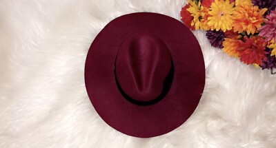 ?ABERCROMBIE & FITCH Burgundy Brim Hat | eBay display picture 3