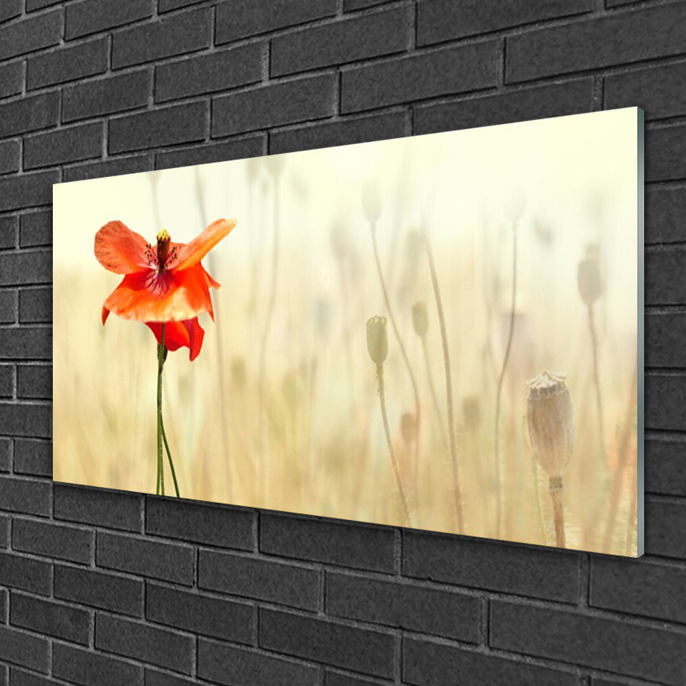 Tableau pavot impression sur verre panoramique 100x50 cm décoration murale