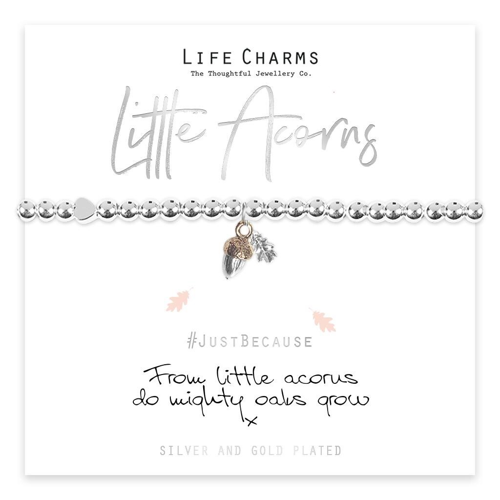 Life Charms Bracelet - From LITTLE ACORNS Do Mighty Oaks Grow - Gift Boxed LC073