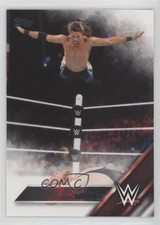 2016 Topps WWE Adam Rose #1 8i5