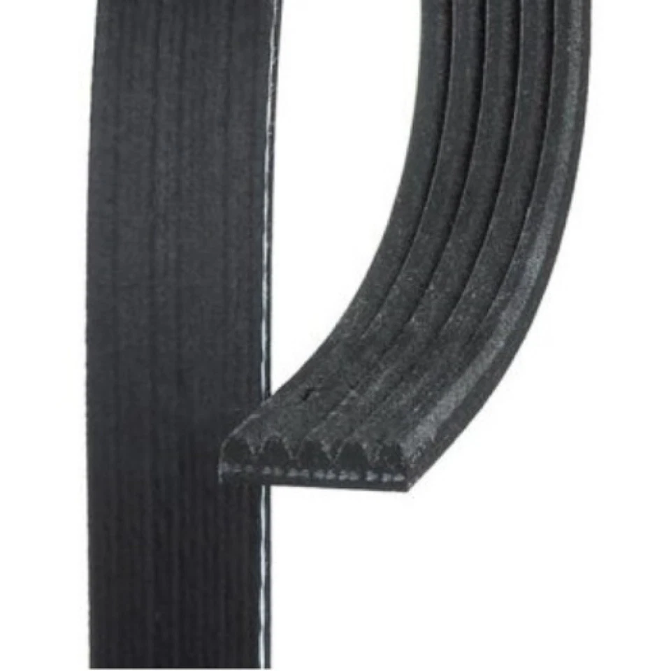 Cinto serpentina genuíno ACDelco para Pontiac G6 2006-2010 padrão com nervuras em V preto - Imagem 3 de 4