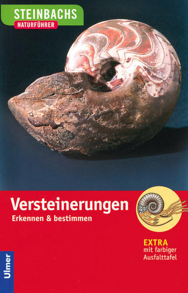 Steinbachs Naturführer. Versteinerungen | Gerhard Lichter | 2003 |
