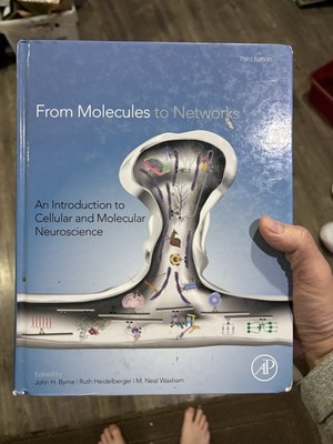 From Molecules to Networks: An Introduction to Cellular and Molecular Neuroscien