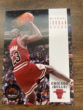1993-94 Skybox Premium - Michael Jordan #45