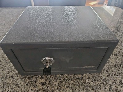 SentrySafe Portable Security Safe with Key Lock,  Gray 12 1/4 in. x 11 Inches.
