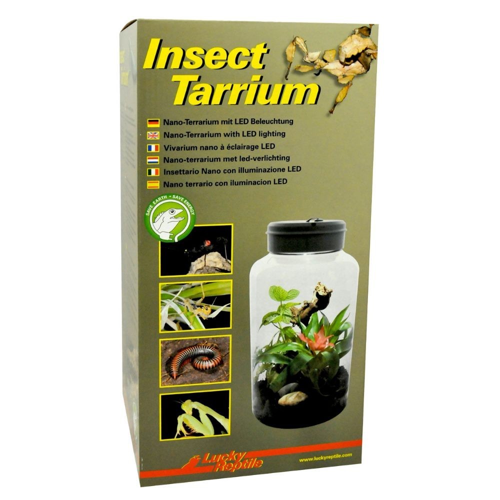 Lucky Reptile Insect-Tarrium 5L mini terrario per insetti e ragni