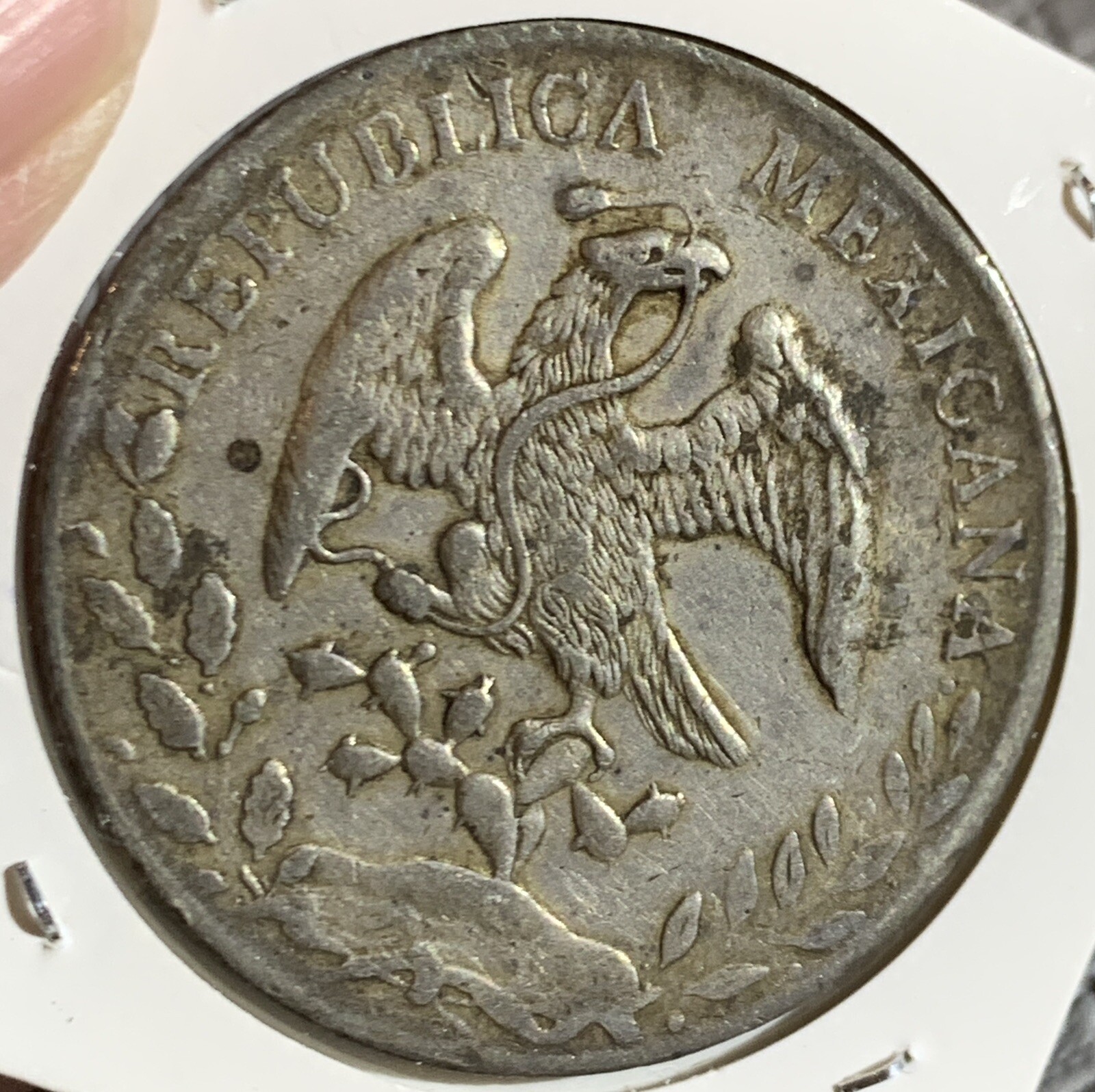 Picture 2 of 2