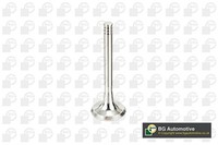 BGA Auslassventil V033035 FüR Passat 1G1 VW 19E 35I 3A2 3A5 Golf 33B B3 B4 B2 2