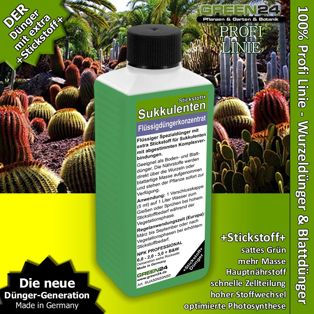 Bild 1 von 6