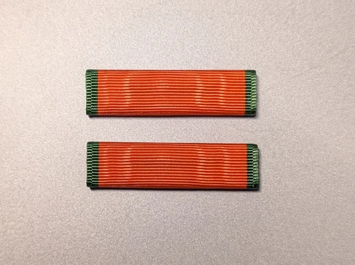 CORRECT SIZE - TXSG CGIA - Moiré Ribbon Made in USA -New-Set of 2