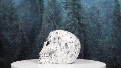 Day of The Dead Raindrops Water Droplets Scene Gothic Skull