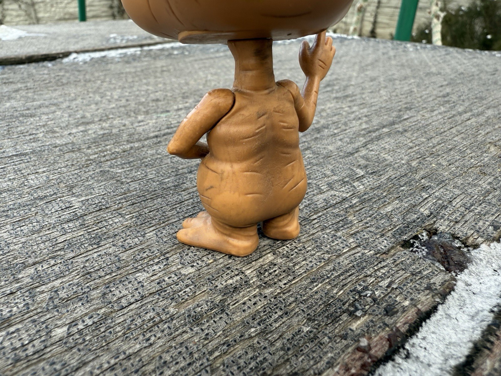 Picture 5 of 8