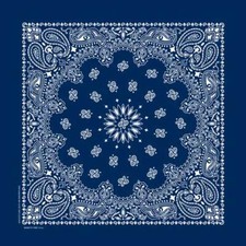 Carolina Creative Bandanna Navy Blue Paisley Print 22" x 22" Hav-A-Hank