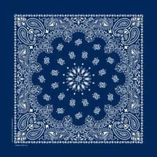 Carolina Creative Bandanna (Navy Blue) Paisley Print 22" x 22" Hav-A-Hank