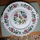 Royal Stafford Bone China Eared Cake Plate Bird of Paradise 10 inch x 9 1/4 inch