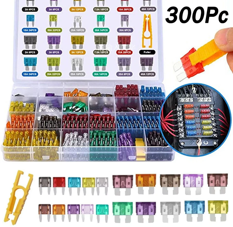 300Pcs Car Fuses Assorted Kit Van Bike Auto Mini Medium Blade Fuse 2A-40A Box