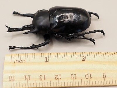 メガソマ・アクタエオン O19-A Megasoma actaeon Insect Hunter Figure F-toys Japan T438 | eBay