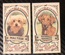2019 Topps Allen & Ginter Baseball Mini Collectible Canines Cards Lot You Pick