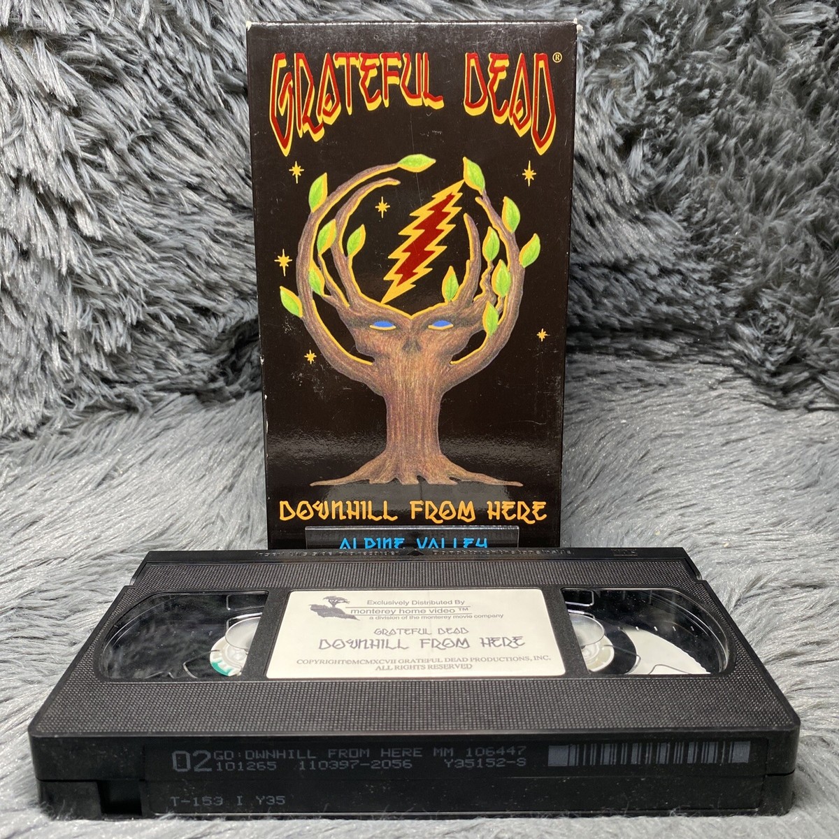 Grateful Dead Downhill From Here VHS Live at Alpine Valley 1989