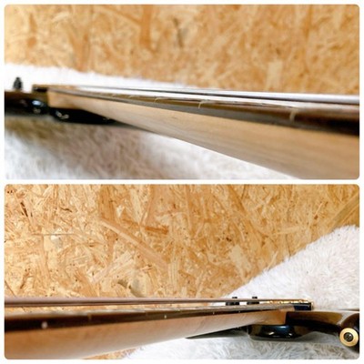 Electric Bass Guitar SDGR by Ibanez SR890 GF Made in Japan by