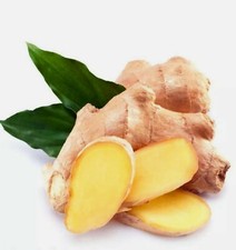 100 Pcs Ginger Seeds Balcony Vegetable Potted Bonsai Plant Seeds