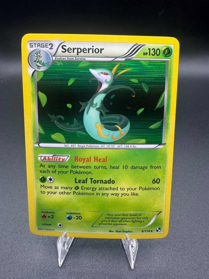 2011 Pokemon, Black & White Base, #6/114 Serperior, Holo Rare LP