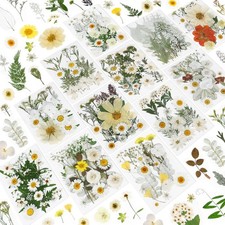 247 Pcs Dried Flowers Crafts Real Natural Pressed Yellow White Resin Art