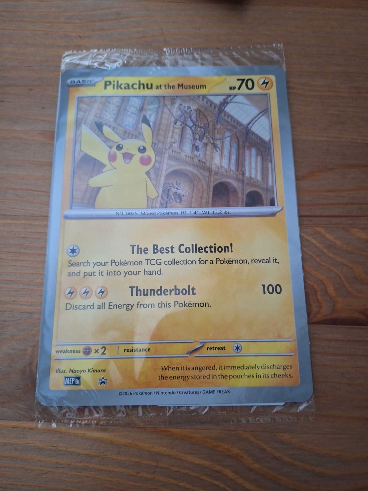 Pikachu At The Museum Pokemon