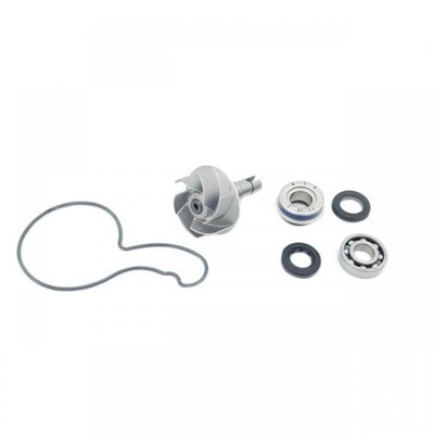 Uberholset fur Wasserpumpen KYMCO AK 550 2022