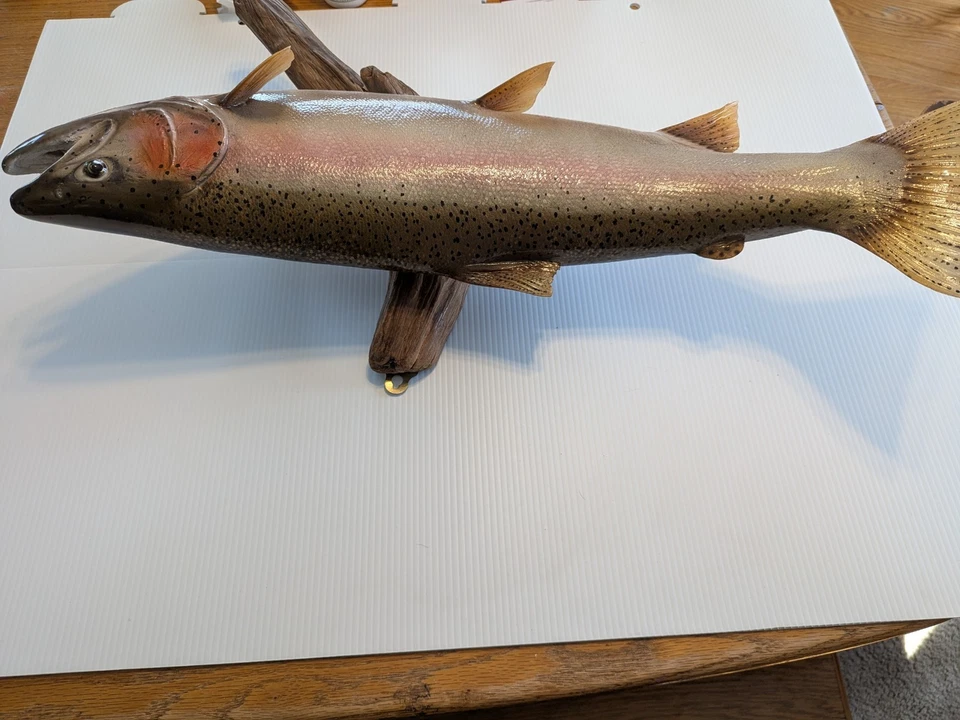 Montaje de reproducción de fibra de vidrio 30" RAINBOW TRUUT peces colectivos Foto 3 de 4