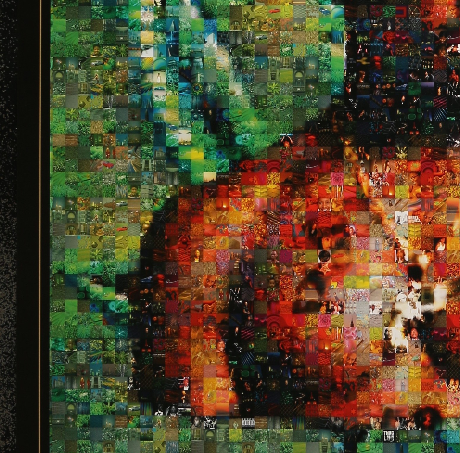 Picture 6 of 11